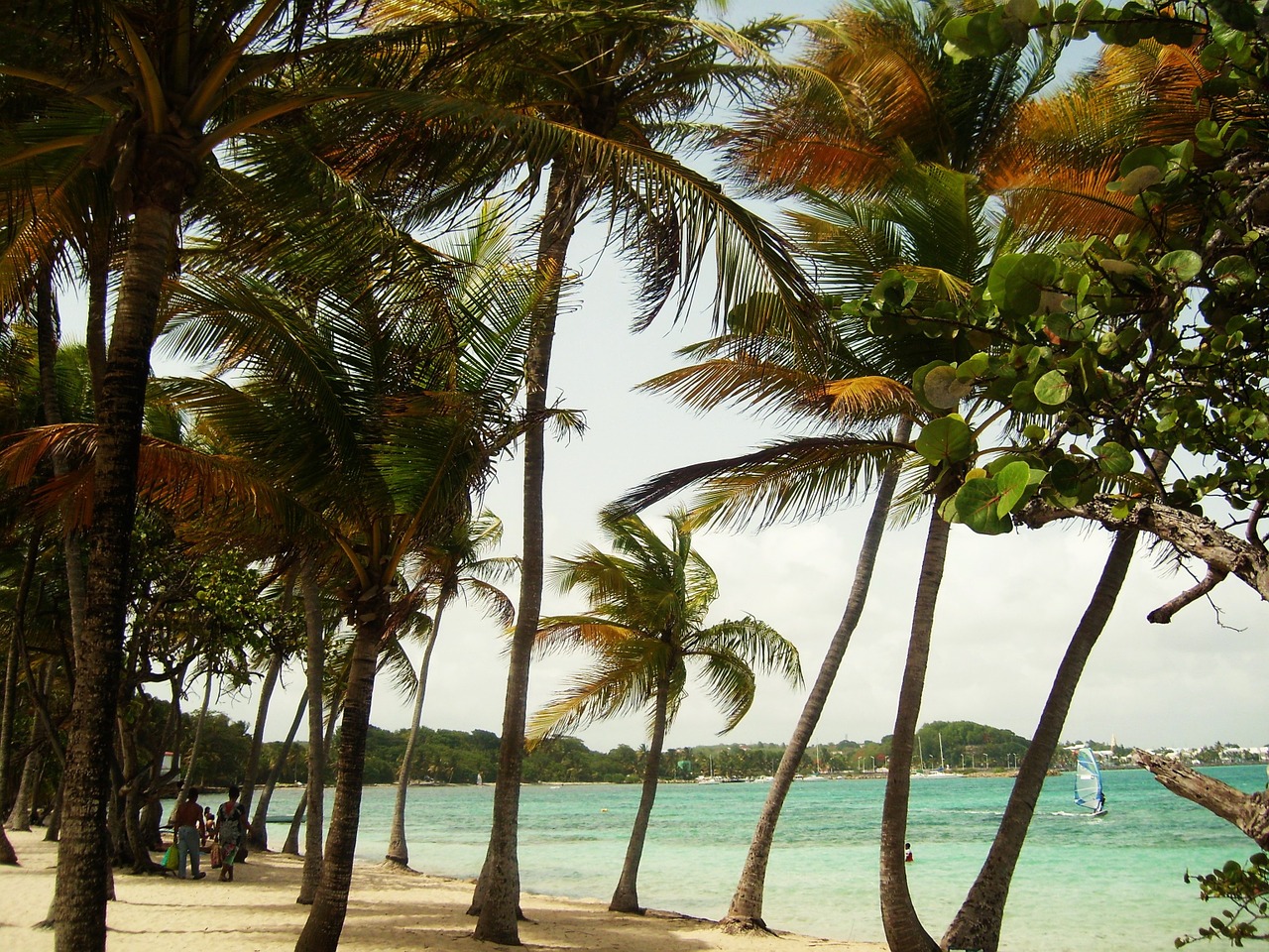 Opter pour un guide touristique pour vraiment profiter de Nosy Be