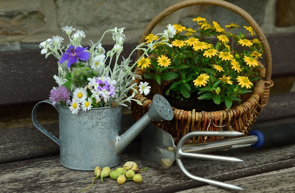 Techniques et astuces pour un jardinage efficace
