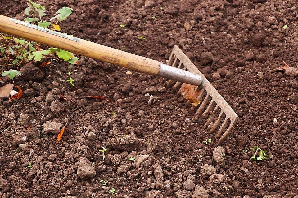 Pourquoi jardiner reste une activité essentielle pour le bien-être ?